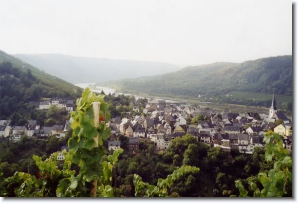 Nächstes Bild