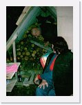 031003_32 * 450 x 600 * (63KB)