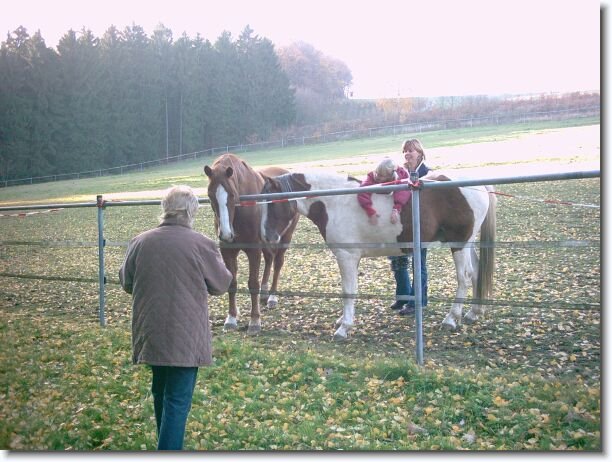 Nächstes Bild