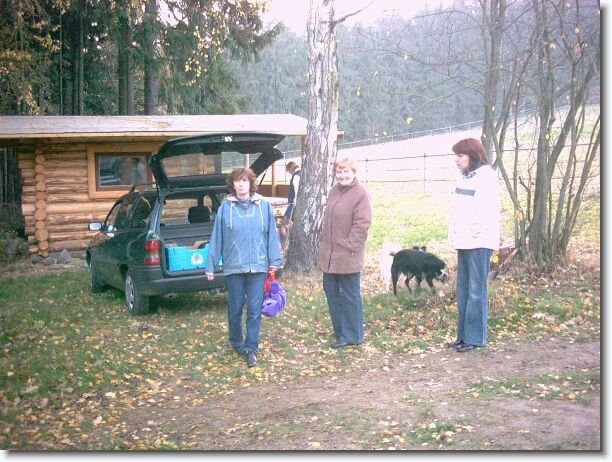 Nächstes Bild
