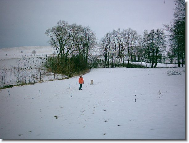 Nächstes Bild