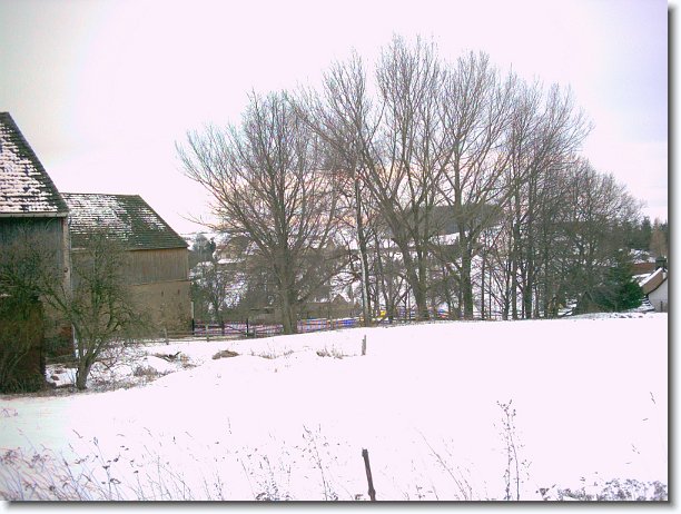 Nächstes Bild