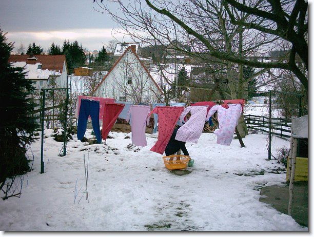 Nächstes Bild