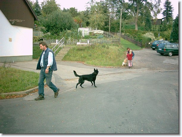 Nächstes Bild