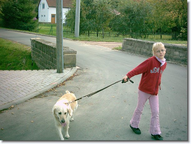 Nächstes Bild