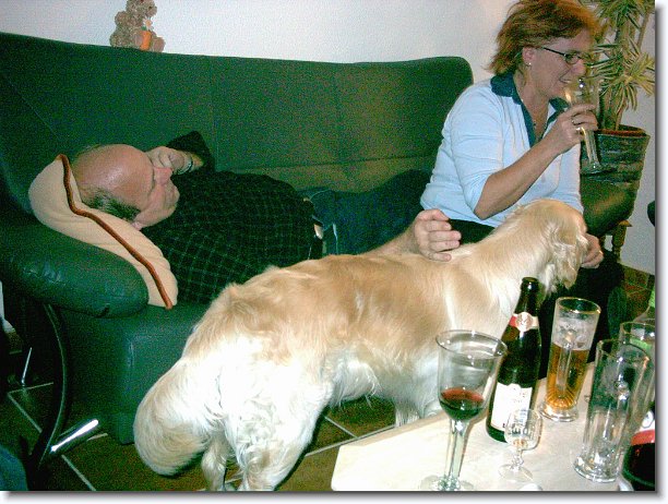 Nächstes Bild