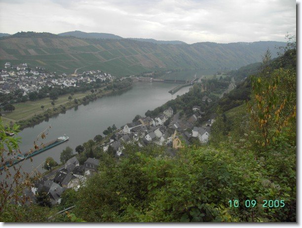 Nächstes Bild