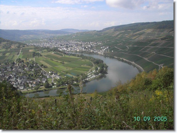 Nächstes Bild