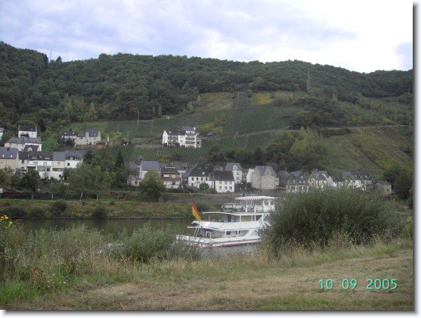 Nächstes Bild