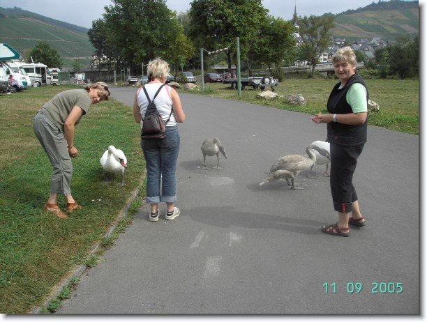 Nächstes Bild