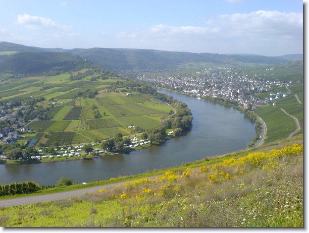Nächstes Bild