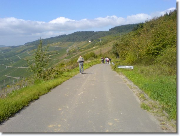 Nächstes Bild