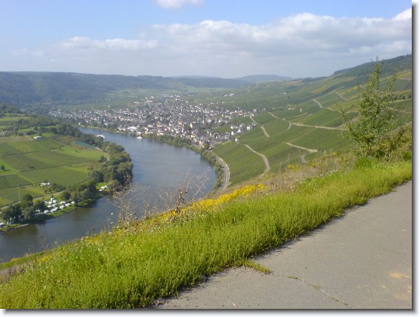 Nächstes Bild