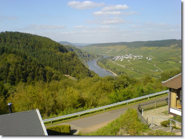 Nächstes Bild