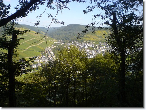 Nächstes Bild