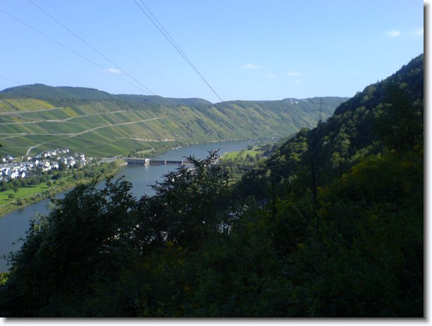 Nächstes Bild