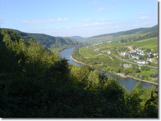 Nächstes Bild