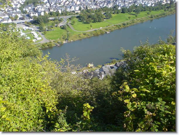 Nächstes Bild