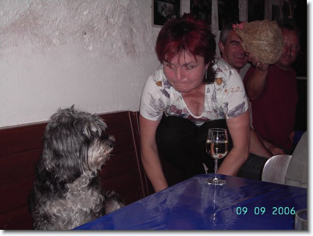 Nächstes Bild