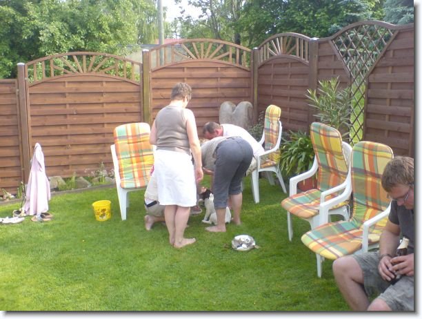 Nächstes Bild