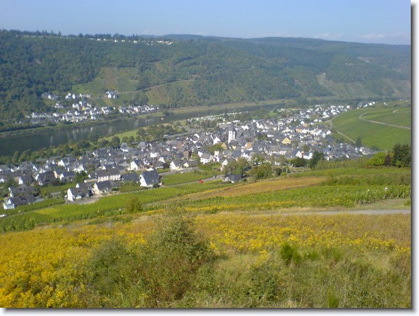 Nächstes Bild