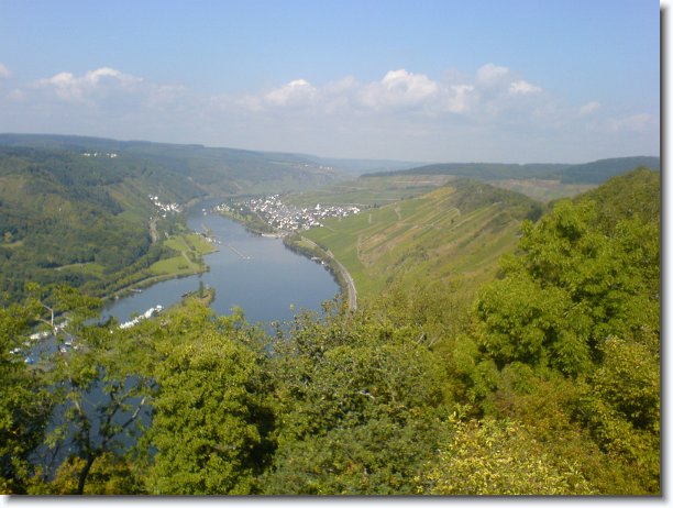Nächstes Bild