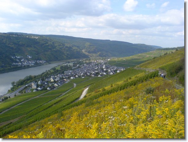 Nächstes Bild