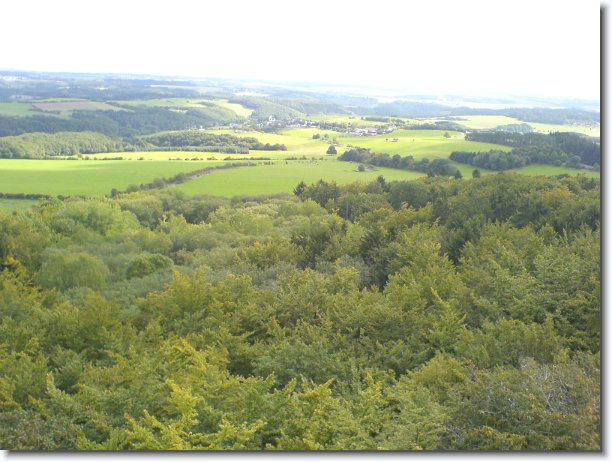 Nächstes Bild