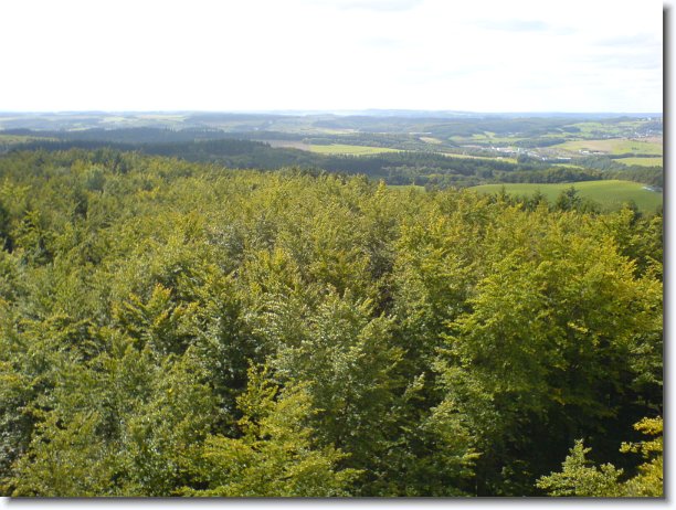 Nächstes Bild