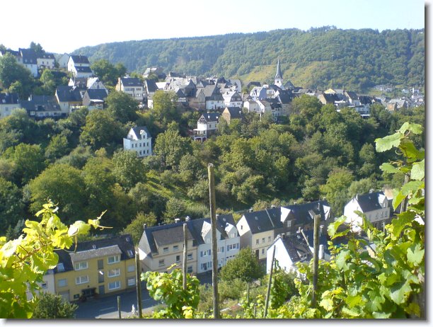 Nächstes Bild