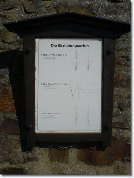 Nächstes Bild