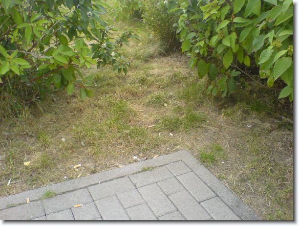 Nächstes Bild
