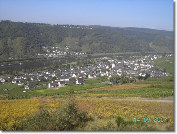 Nächstes Bild
