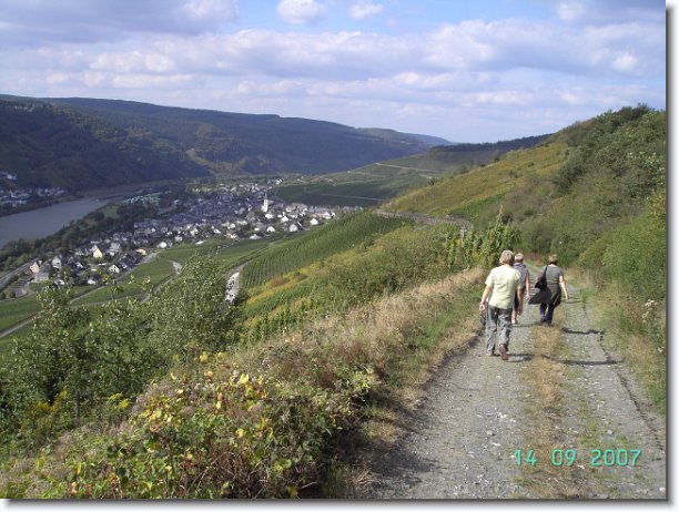 Nächstes Bild