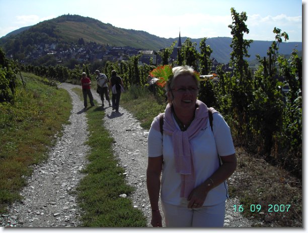 Nächstes Bild