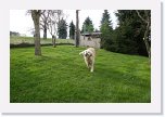 IMG_0701 * 3504 x 2336 * (4.61MB)