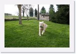 IMG_0702 * 3504 x 2336 * (4.19MB)