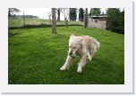 IMG_0704 * 3504 x 2336 * (3.93MB)