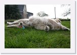 IMG_0721 * 3504 x 2336 * (3.61MB)