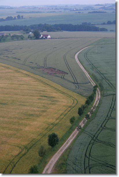Nächstes Bild