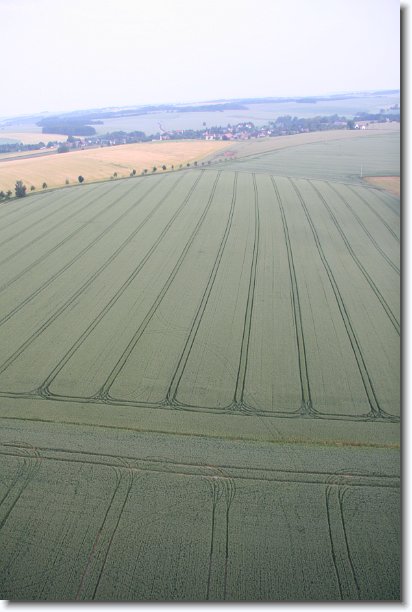 Nächstes Bild