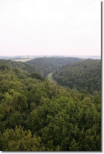 Nächstes Bild