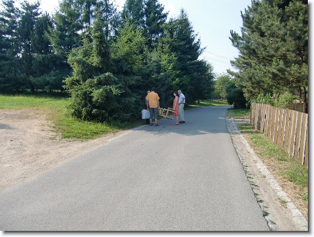 Nächstes Bild