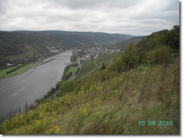 Nächstes Bild