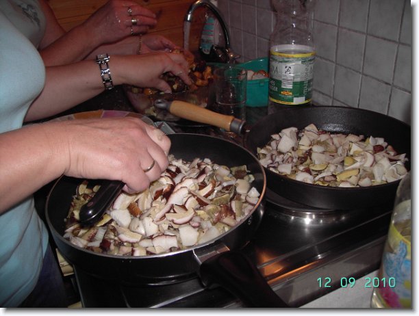 Nächstes Bild