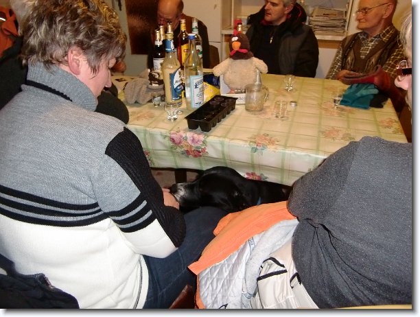 Nächstes Bild