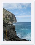 IMG_0736 * 2736 x 3648 * (1.22MB)