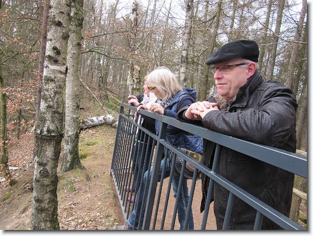 Nächstes Bild